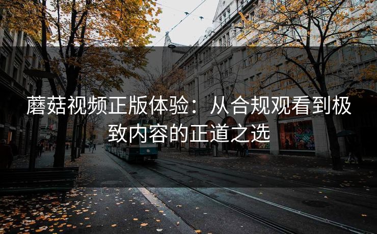 蘑菇视频正版体验：从合规观看到极致内容的正道之选