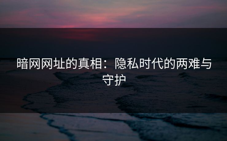 暗网网址的真相：隐私时代的两难与守护