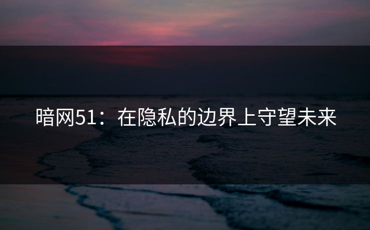 暗网51：在隐私的边界上守望未来